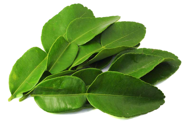 Thai Lemon Leaf